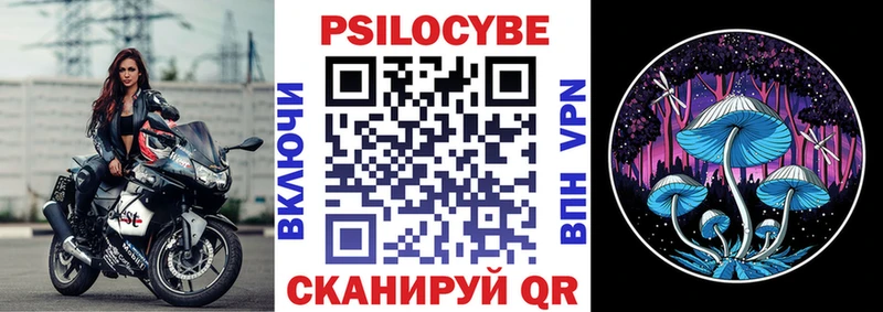 Псилоцибиновые грибы Cubensis  Бугуруслан 